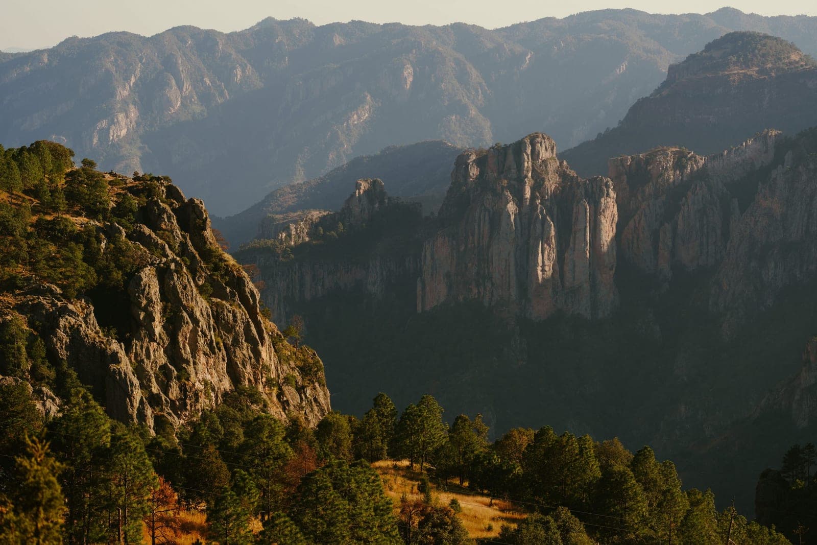 Barrancas del Cobre: agujas de roca y pinares al atardecer